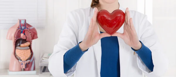 Detail eines Arztes, der ein rotes Herz in ihren Händen hält. — Stockfoto