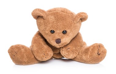 yalnız beyaz izole ayıcık.