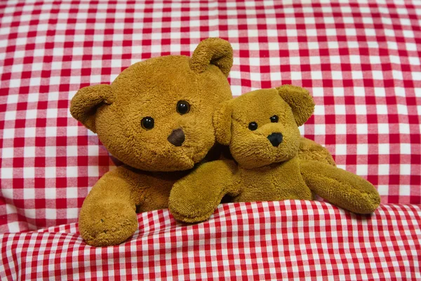 Two brown teddy bears lying in checkered bed - concept. — Stock Photo, Image