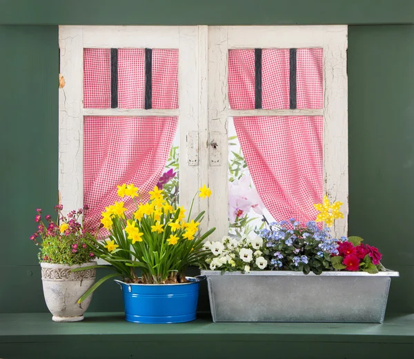 Rebord de fenêtre avec des fleurs colorées et cadre de fenêtre blanc vintage . — Photo