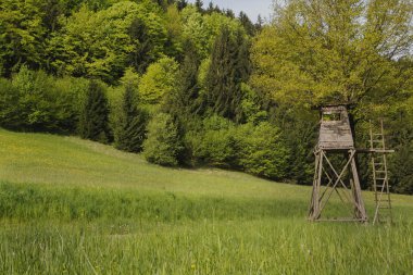 hobi AV: orman hayvan gözetleme kulesi.