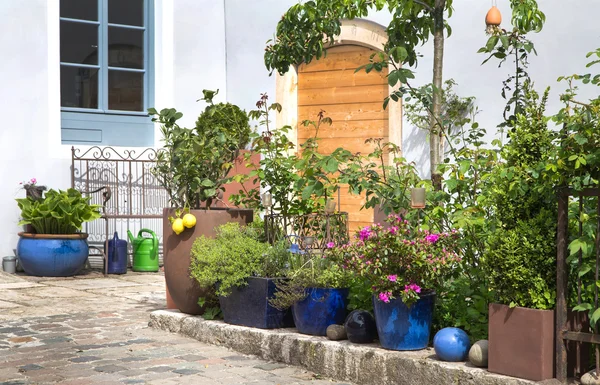 Flores en macetas de terracota - jardín antes de una casa . — Foto de Stock