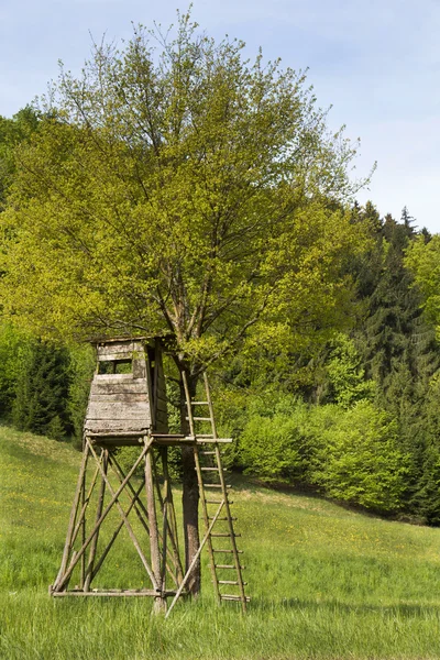 Полювання на хобі: вежа спостереження за тваринами у лісі . — стокове фото