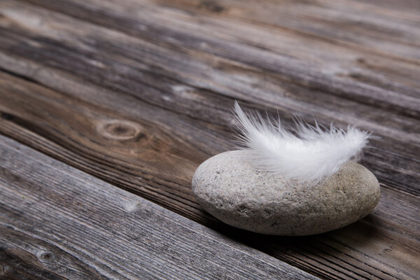 Концепции: Натуральный деревянный фон с каменным и белым пером
