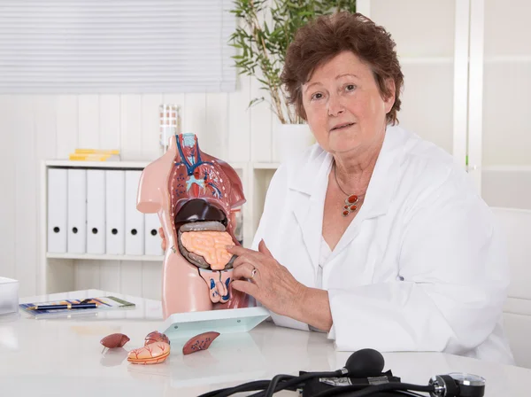 Senior vrouwelijke arts uitleggen van het menselijk lichaam met romp. — Stockfoto