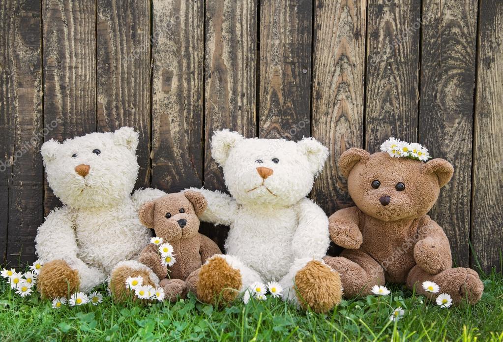 Teddy bear hot sale family