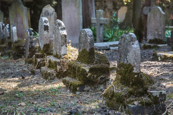 Sightseeing in Corfu City: interesting place - ancient and old b — Stock Photo, Image