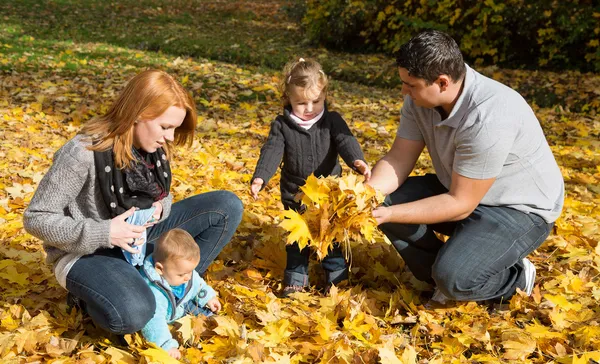 Happy young family in autumn making a walk and play with maple l — Stock Photo, Image