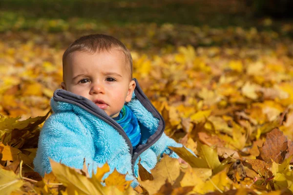 Niedliche kleine Junge sitzt in den Ahornblättern. — Stockfoto