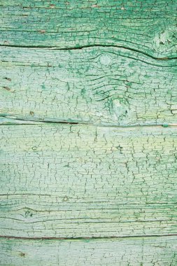 eski ve pullu ahşap rustik arka planda naneli yeşil.