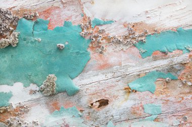 eski ahşap shabby chic arka planla muş yaşlı kalsifikasyon