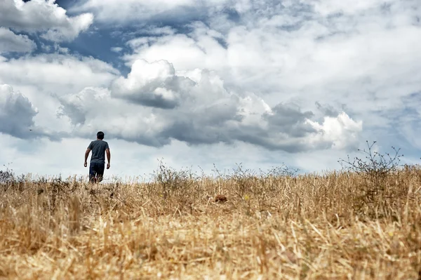 Uomo che cammina in un campo — Foto Stock