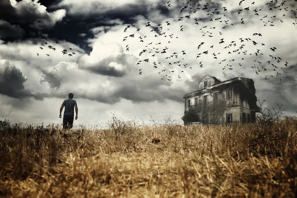 Hombre caminando en un campo — Foto de Stock