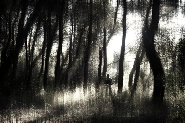 Hombre en un bosque — Foto de Stock