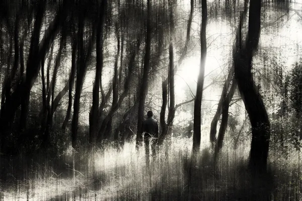 Hombre en un bosque — Foto de Stock