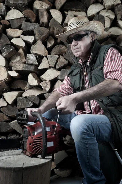 Holzfäller mit Kettensäge — Stockfoto