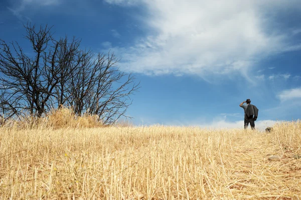 Człowiek stoi w polu — Zdjęcie stockowe