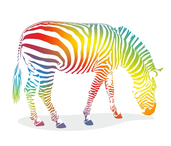 Zebra1207a — Zdjęcie stockowe