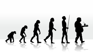 Evolution2708d