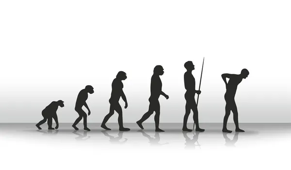 Evolution2 — Stock Photo, Image