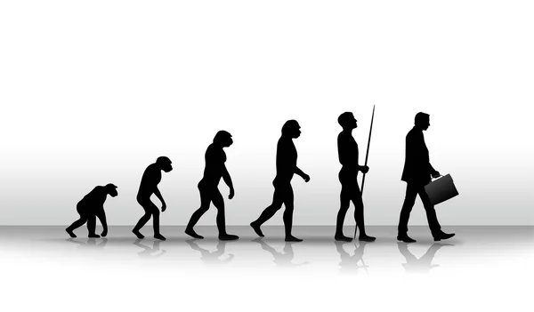 Evolução — Fotografia de Stock