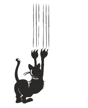 siyah kedi