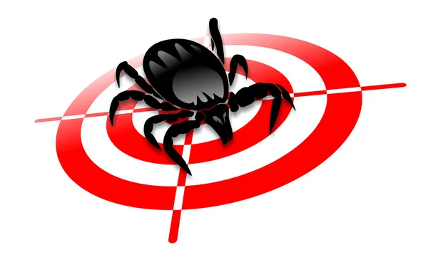 Ticks — Stock Photo, Image