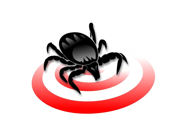 Ticks — Stock Photo, Image