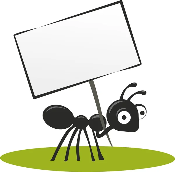 Ants — Stock Photo, Image