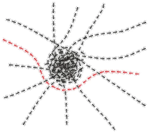Percorso delle formiche — Foto Stock