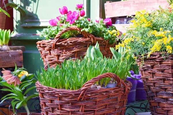 Bloemist — Stockfoto