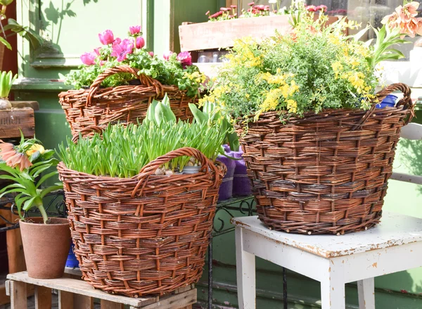 Bloemist — Stockfoto