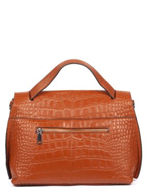 Brown leather woman's handbag isolated on white background.