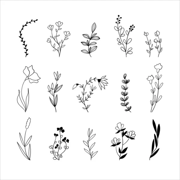 Conjunto de Flores y Plantas de Línea en Negro Aislado Gráficos Vectoriales