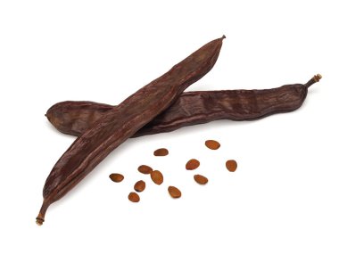 Keçiboynuzu beyaz arka planda izole edildi.