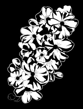 siyah ve beyaz çiçekler