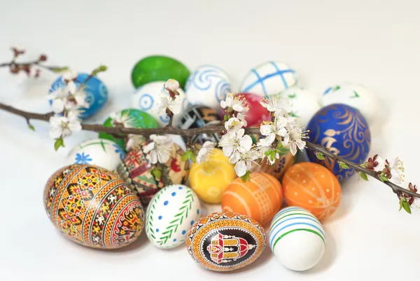 Wielkanoc wiosna kwiaty jaj — Zdjęcie stockowe