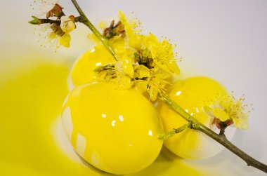 Paskalya yortusu yumurta boya sprey