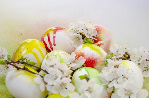 Pascua huevo pintura aerosol flores albaricoque — Foto de Stock