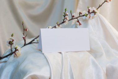 kartpostal el şablonu