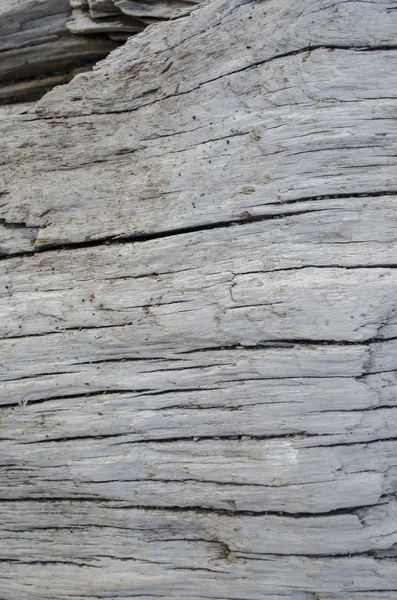 古い木の木目テクスチャ — ストック写真