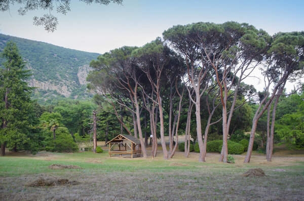 Морские путешествия в Крыму Лицензионные Стоковые Фото