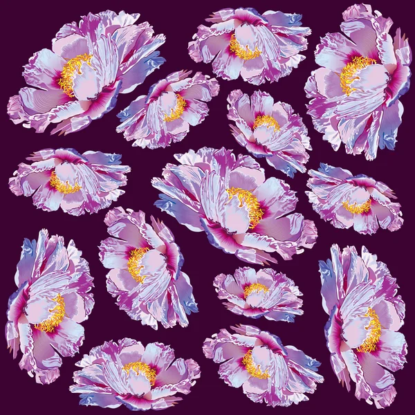 Fiore ornamento di Paeonia suffruticosa peonia牡丹牡丹牡丹装饰花 — 图库矢量图片