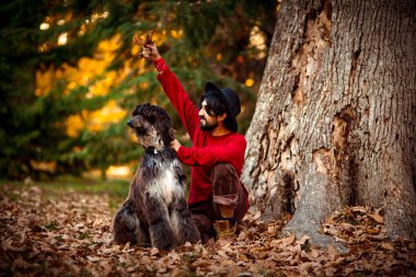 Koyu renk saçlı, kırmızı kazaklı ve şapkalı genç bir adam, bir güz parkında, evcil bir köpekle birlikte bir ağacın altında yatıyor.