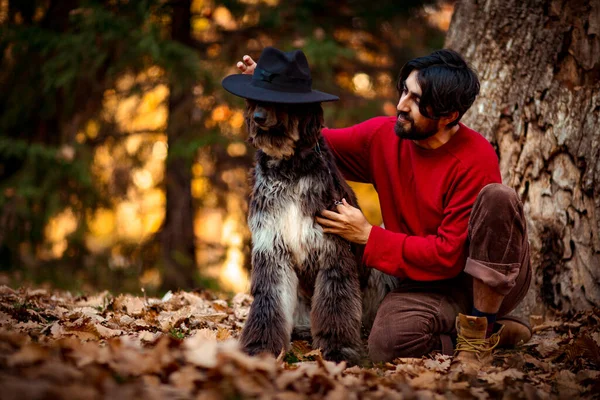 Koyu renk saçlı, kırmızı kazaklı ve şapkalı genç bir adam, bir güz parkında, evcil bir köpekle birlikte bir ağacın altında yatıyor.