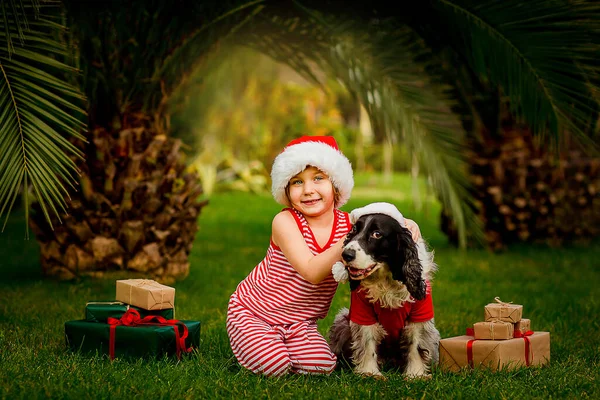 Uma Menina Engraçada Roupas Natal Chapéu Papai Noel Sentado Com — Fotografia de Stock