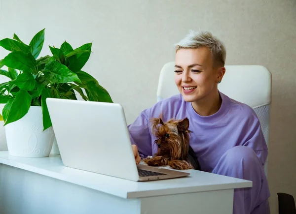 Genç, güzel bir kadın dizüstü bilgisayarın yanında oturuyor, mor pijamalarıyla ve kucağında küçük bir köpek tutuyor.