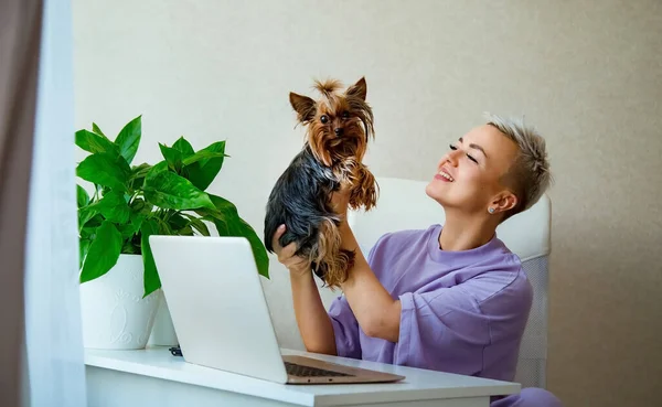 若い美しい女性ブロンドはノートパソコンの隣に紫色のパジャマを着て腕に小さな犬を抱えています — ストック写真