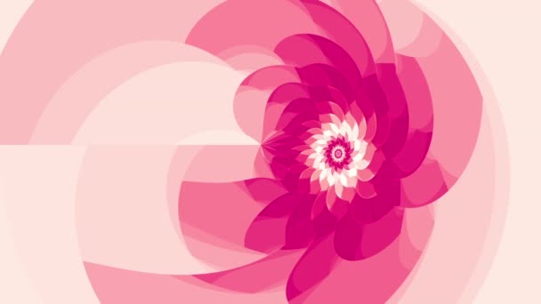 Ροζ λουλούδι αδιάλειπτη βρόχο κινούμενα σχέδια — Αρχείο Βίντεο