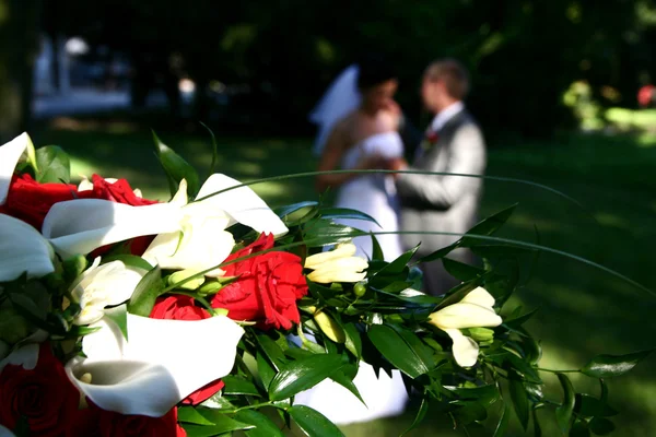 Casamento instantâneo — Fotografia de Stock